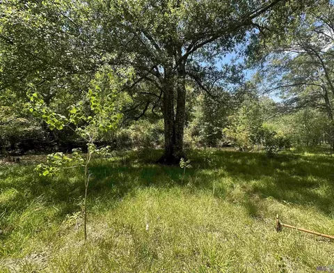 lot112 Gunboat Landing Rd, Maurepas, LA 70449