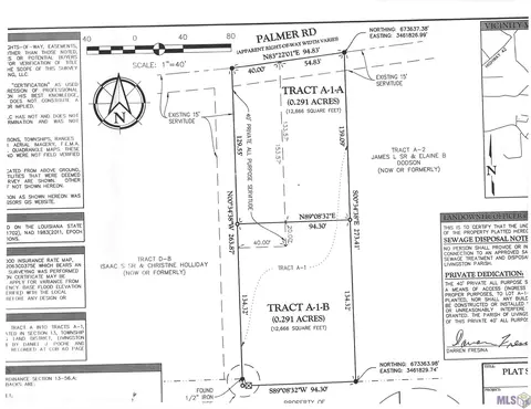 A1b Palmer Rd, Livingston, LA 70754