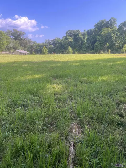 lot2 C-2-c La Hwy 412, Slaughter, LA 70777