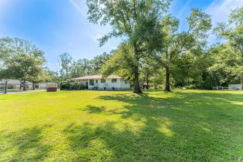 26600 Hwy 22, Springfield, LA 70462 photo 3