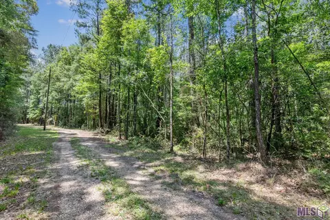 lot1 Pace Rd, Clinton, LA 70722