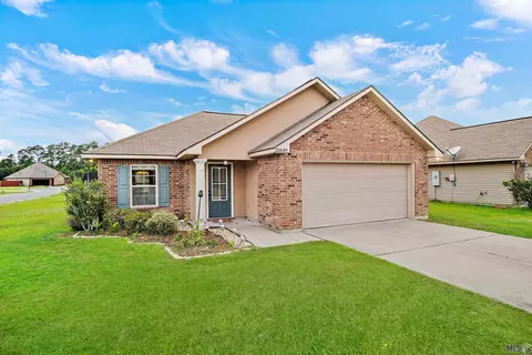25649 Palmwood Ct, Denham Springs, LA 70726
