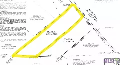 Tract D-1 Bryan Ln, Maurepas, LA 70449