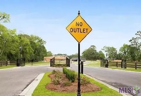 13179 Oakbourne Ave, Geismar, LA 70734