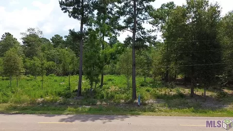 Tract C Milton Rd, Hammond, LA 70401