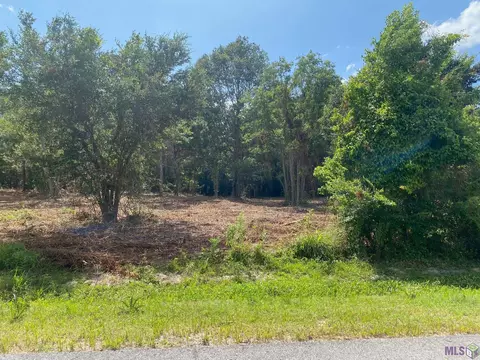 18377 Amite Acres Dr, Prairieville, LA 70769