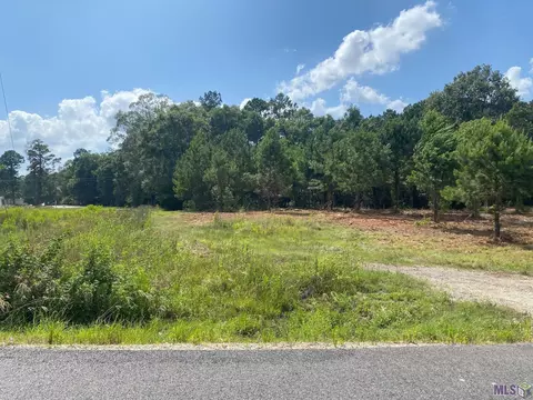 18371 Amite Acres Dr, Prairieville, LA 70769