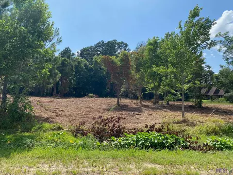 18383 Amite Acres Dr, Prairieville, LA 70769