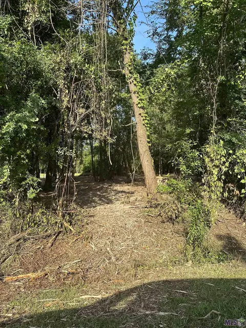 Elmwood Pl, Denham Springs, LA 70726