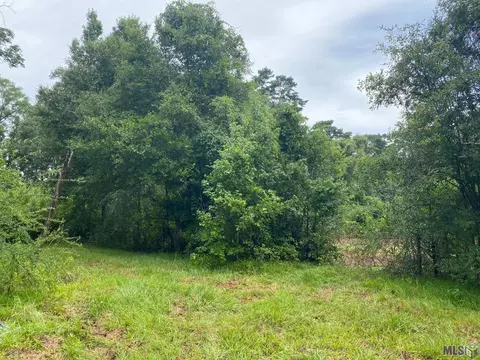 9407 Florida Blvd, Walker, LA 70785 photo 3