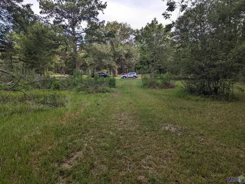 14681 Springfield Rd, Walker, LA 70785 photo 4
