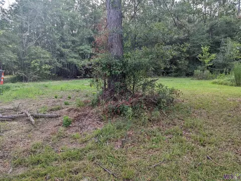 14681 Springfield Rd, Walker, LA 70785 photo 3