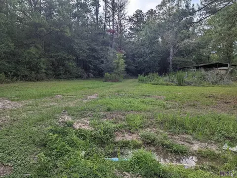 14681 Springfield Rd, Walker, LA 70785 photo 2