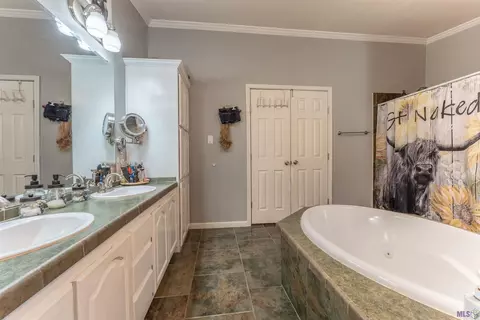 30361 Milton Rd, Walker, LA 70785 photo 15