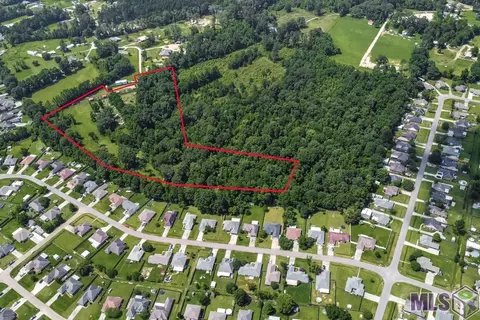 3630236303 Ruby Moore Rd, Denham Springs, LA 70706