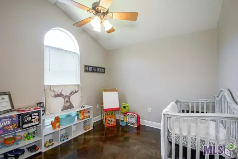 13208 David Lee Dr, Walker, LA 70785 photo 17
