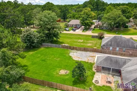 13208 David Lee Dr, Walker, LA 70785 photo 27