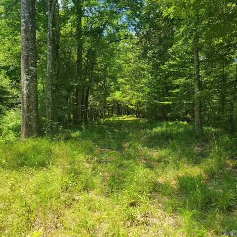 tbd Hamilton Willis Rd, Saint Francisville, LA 70775