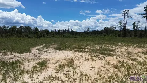 Tract 1-b Teal Mcdaniel Rd, Amite, LA 70443