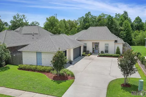 14119 Doe Run Dr, Prairieville, LA 70769