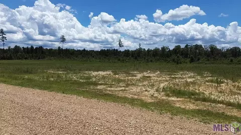 Tract 1-c Teal Mcdaniel Rd, Amite, LA 70443