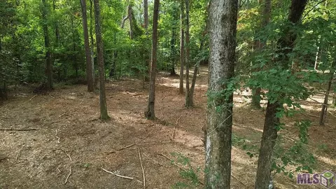 Tract 3-b - 3c Leggett Rd, Walker, LA 70785
