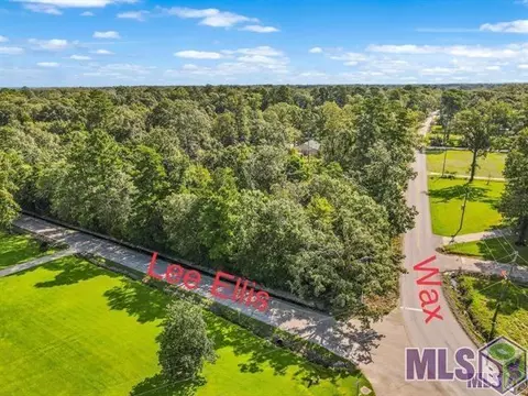 tbd Lee Ellis Rd, Denham Springs, LA 70726