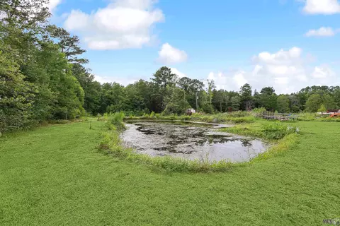 36855 N Walker Rd, Walker, LA 70785 photo 18