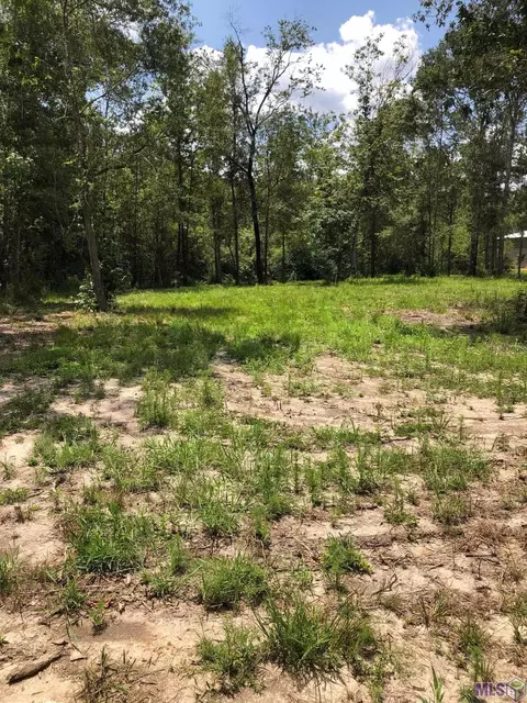 743 Hornsby Rd # A, Pine Grove, LA 70453