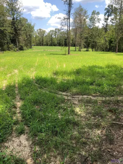 743 Hornsby Rd, Pine Grove, LA 70453