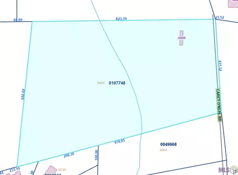 30805 Carey Oneal Rd, Denham Springs, LA 70726
