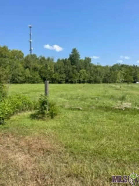 tbd E La Hwy 81, Lottie, LA 70756