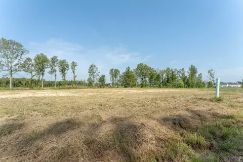 15527 Molly Grace, Prairieville, LA 70769