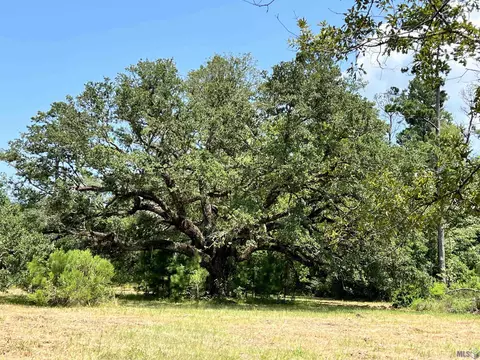 27516 Patterson Rd, Springfield, LA 70462 photo 2