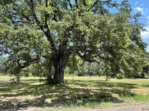 27516 Patterson Rd, Springfield, LA 70462