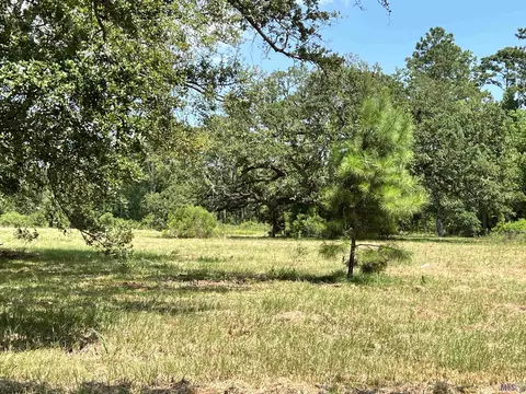 27516 Patterson Rd, Springfield, LA 70462 photo 5