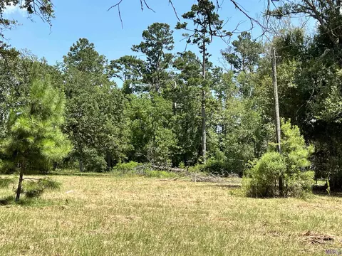 27516 Patterson Rd, Springfield, LA 70462 photo 4