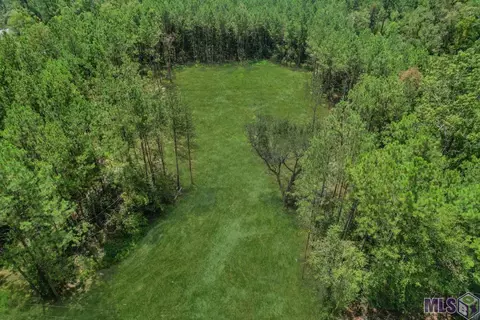 26340 Woolery Ln, Holden, LA 70744