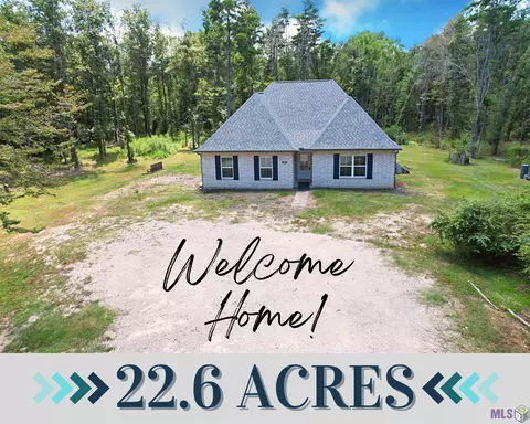 20060 Jenny Holder Ln, Livingston, LA 70754