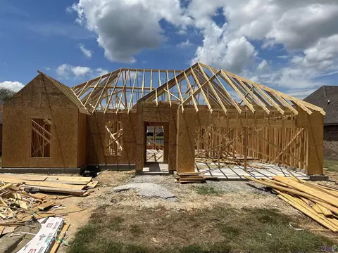 34153 Spring Lake Dr, Walker, LA 70785 photo 4