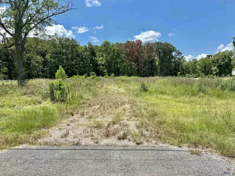 lot2 Bayou Narcisse, Gonzales, LA 70737