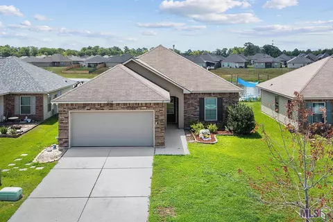 42439 Tigers Eye Stone Ave, Prairieville, LA 70769