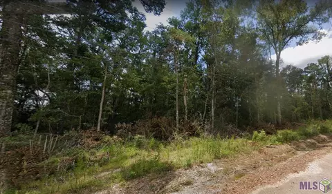 lot4 Lakeview Dr, Holden, LA 70744