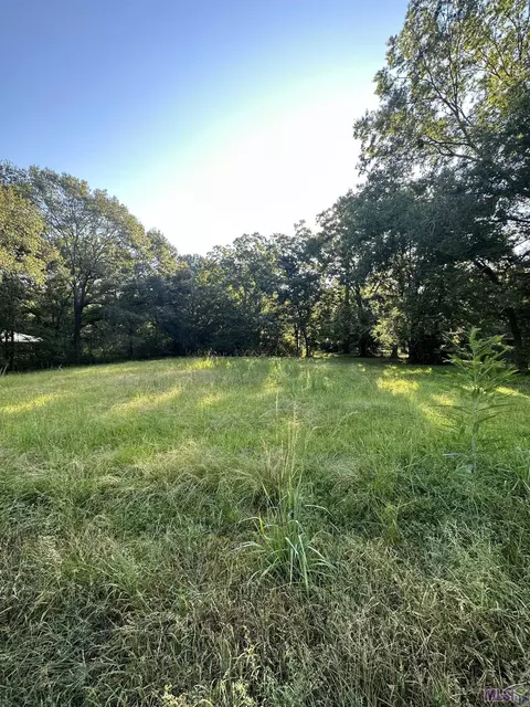lot K-1 Blackwater Rd, Central, LA 70714