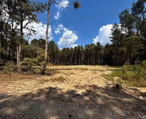 115 Burkett Ln, Denham Springs, LA 70706