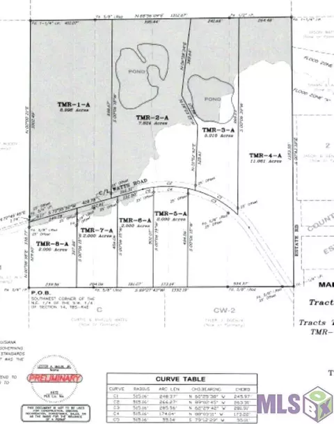 Tmr-6-a Watts Rd, Livingston, LA 70754