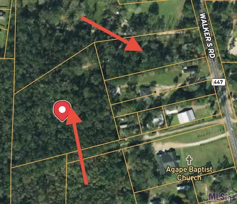 25469 Walker South Rd, Denham Springs, LA 70726