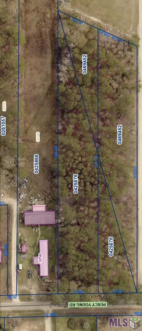 tbd Percy Young Rd, Walker, LA 70785