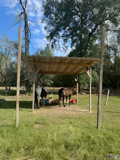 35726 Weiss Rd, Walker, LA 70785 photo 4