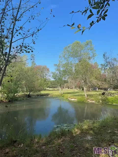 35726 Weiss Rd, Walker, LA 70785